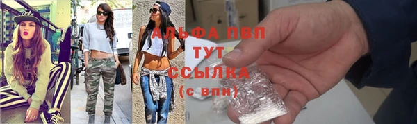 эйфоретик Няндома