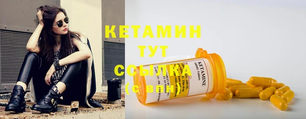 эйфоретик Няндома