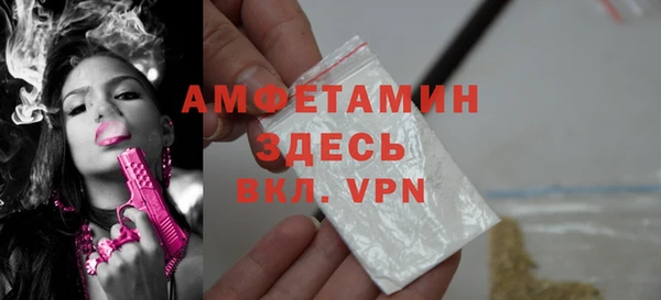 эйфоретик Няндома