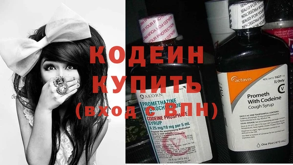 эйфоретик Няндома