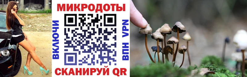 Галлюциногенные грибы GOLDEN TEACHER  Красный Сулин 