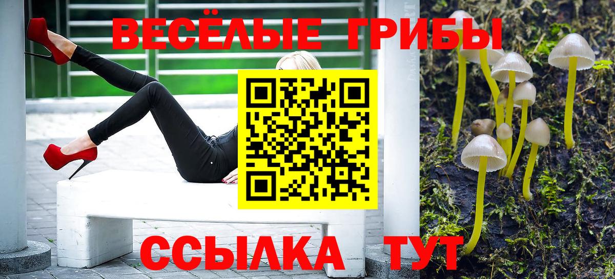 Галлюциногенные грибы мухоморы  Вход с VPN  Красный Сулин 